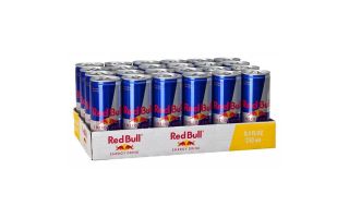 RED BULL BURK INKL PANT 250ML