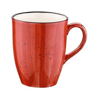 BONNA PASSION MUGG 33CL 24 PACK